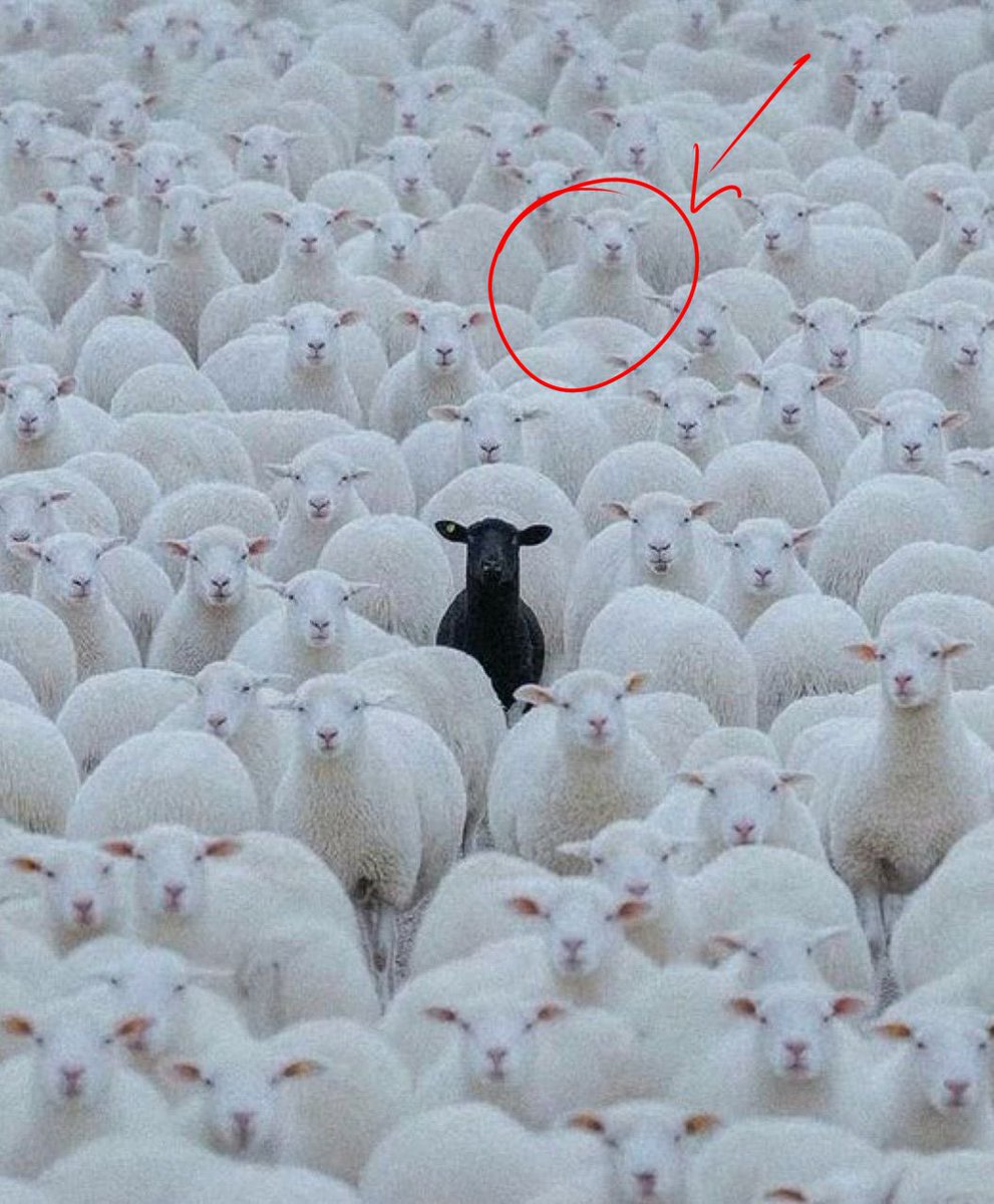 vic .ᐟ.ᐟ | till is super cool tweet media