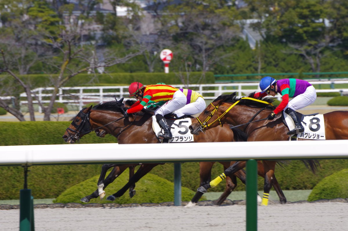 みそしるぶっかけごはん【塩分ひかえめ】 tweet media