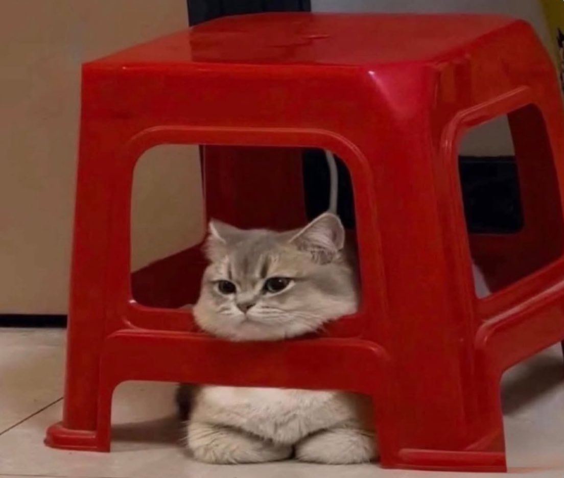 as vezes quero socializar engual um gato só estar por perto em silêncio