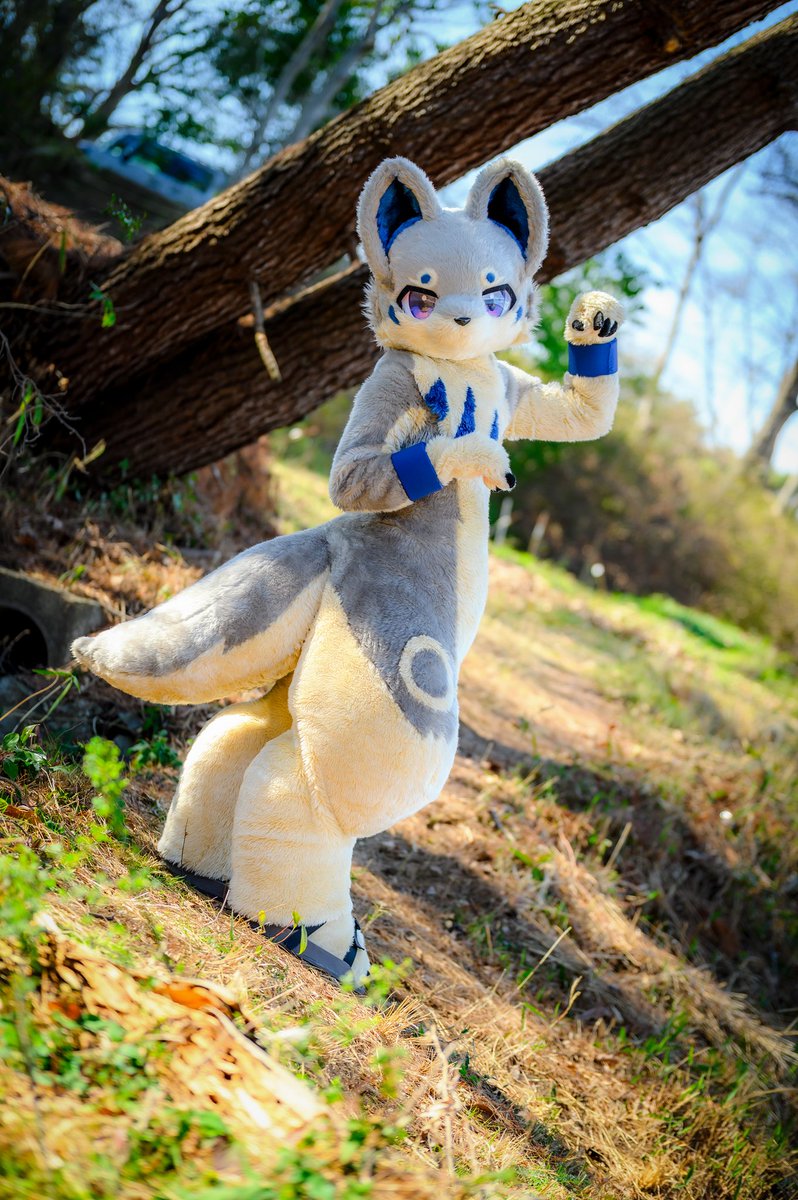 きりみ tweet media