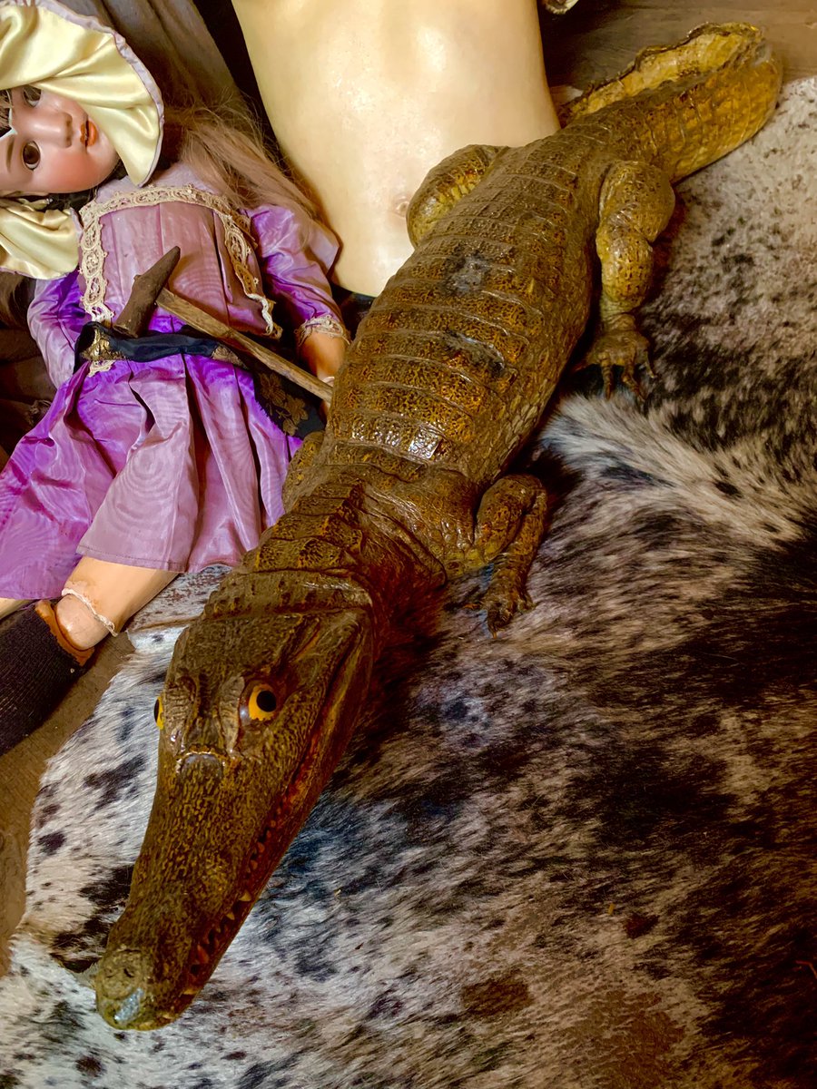 BABE!(ベイブ!) tweet media