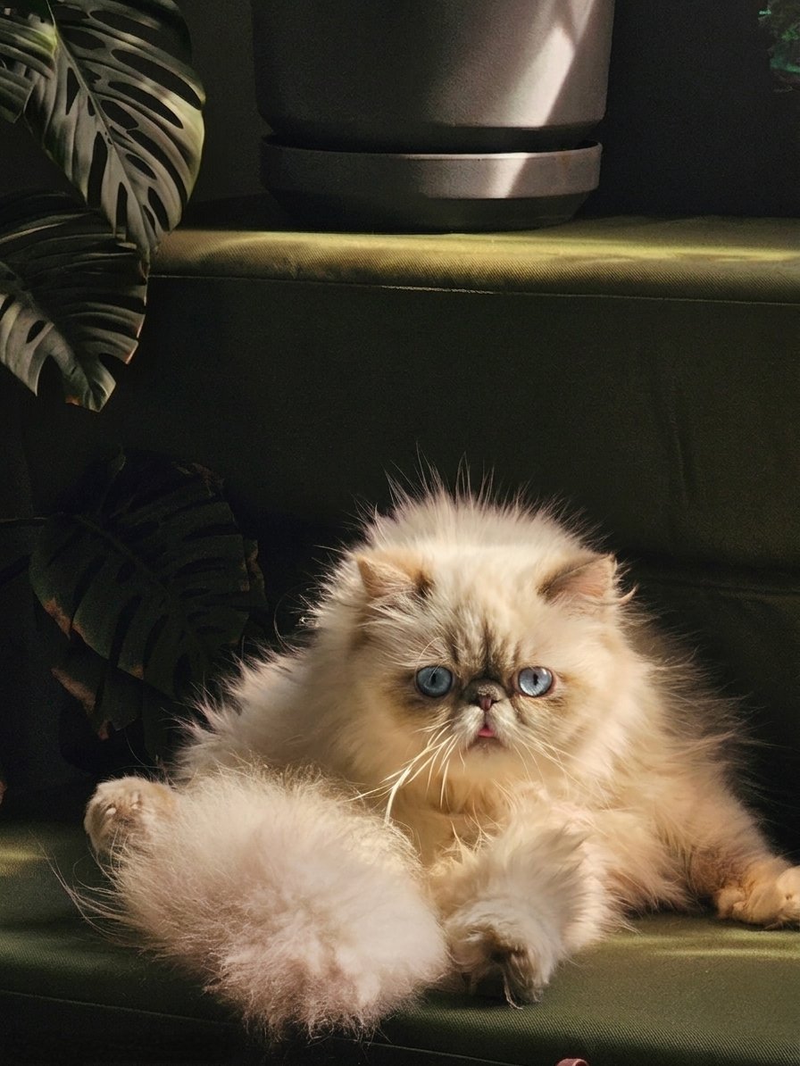 Edgar Allan Hoe 🌋 tweet media