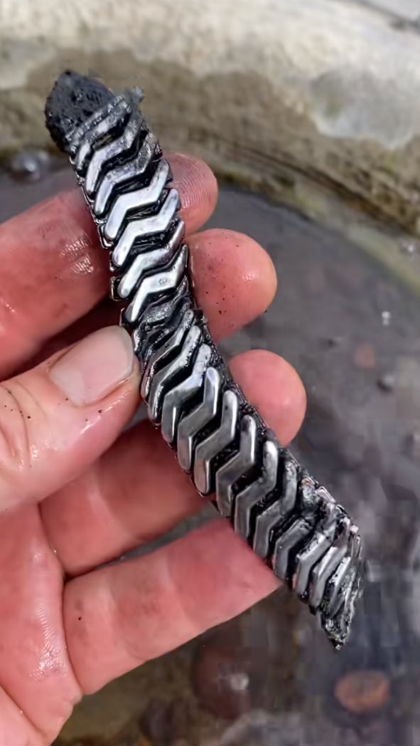 Fraser River Finds 🐟 tweet media