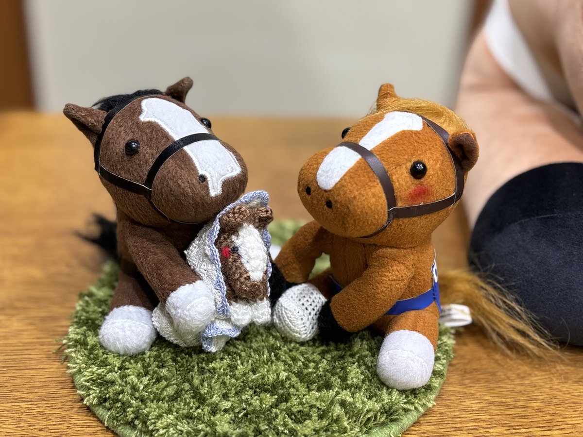 ラピス tweet media