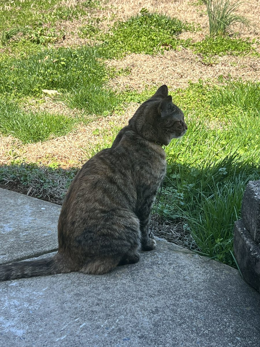 Leoismeo tweet media