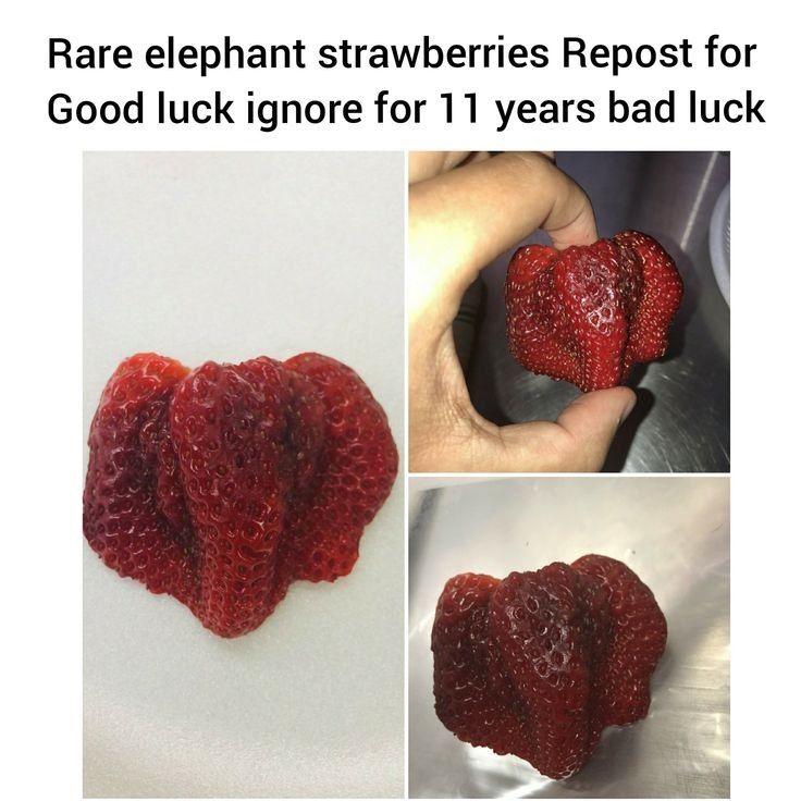 Law_of_attraction tweet media