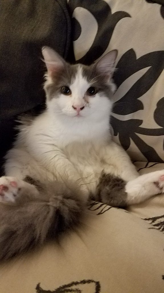 JustThatGuy👨‍💼 tweet media