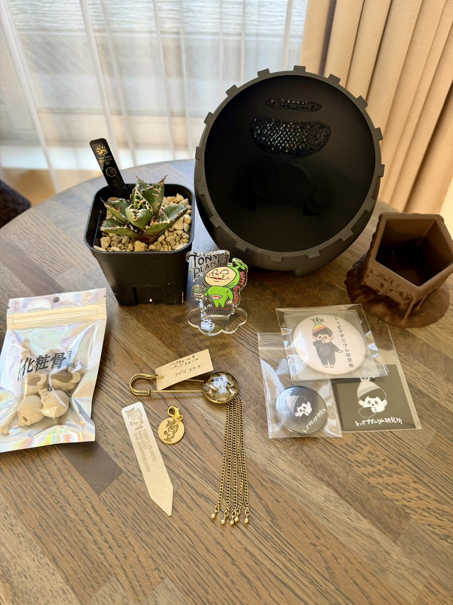 まゆみに tweet media