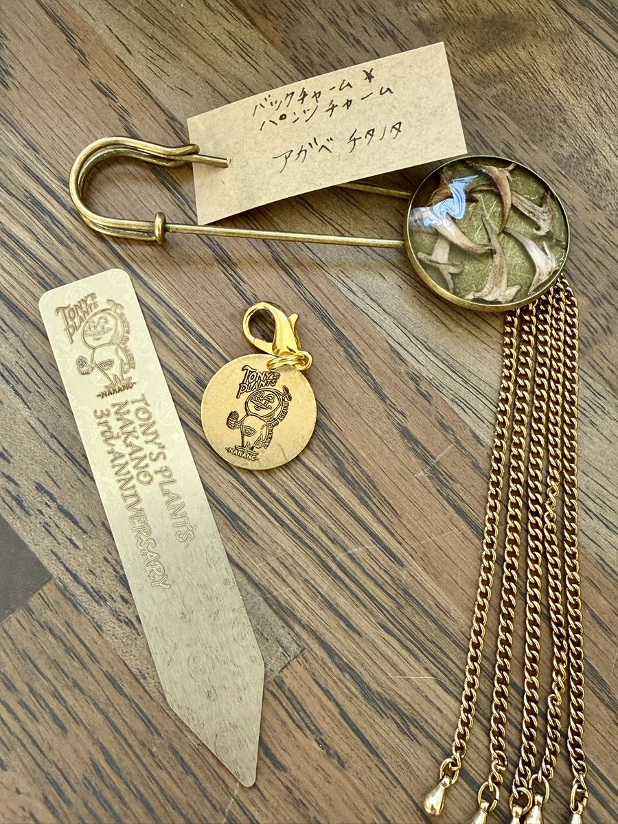 まゆみに tweet media