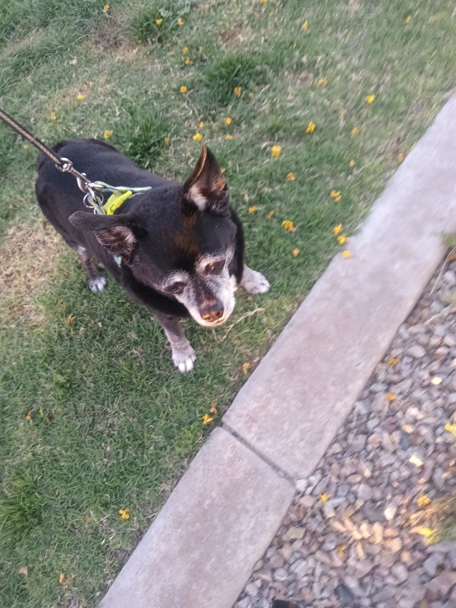 David Smith tweet media