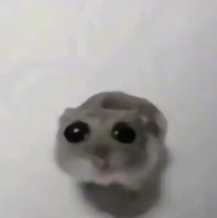 🕸Robbie-TADC EPISODE 8 SPOILERS🎸 tweet media