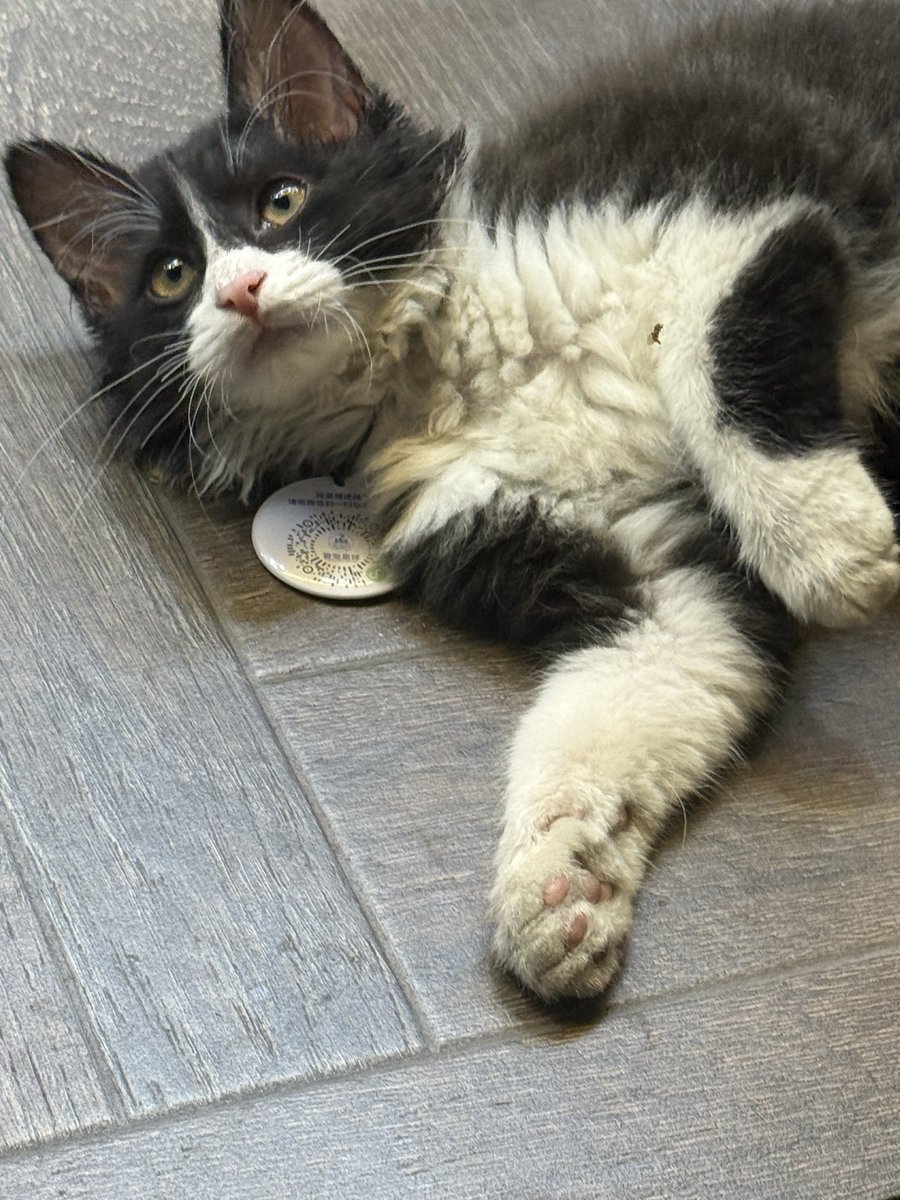 快乐球 tweet media