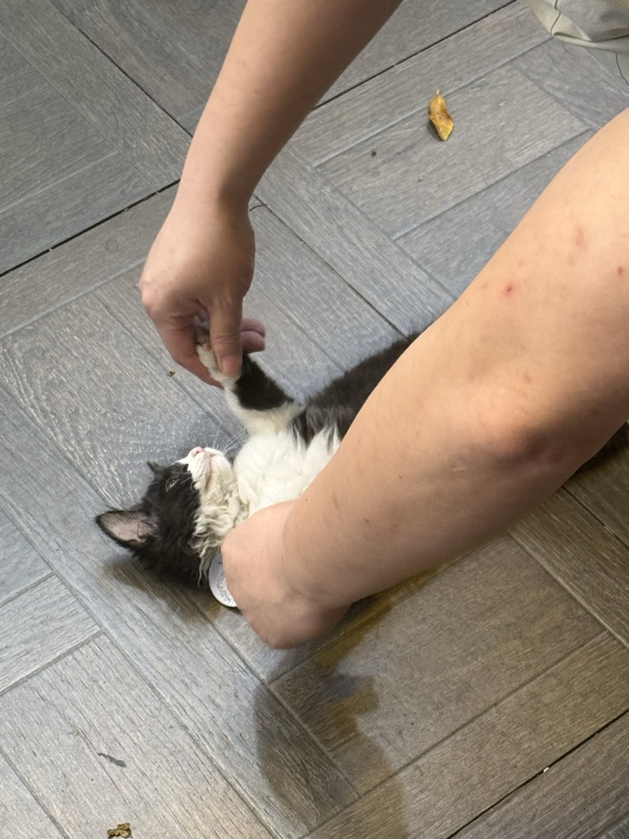 快乐球 tweet media