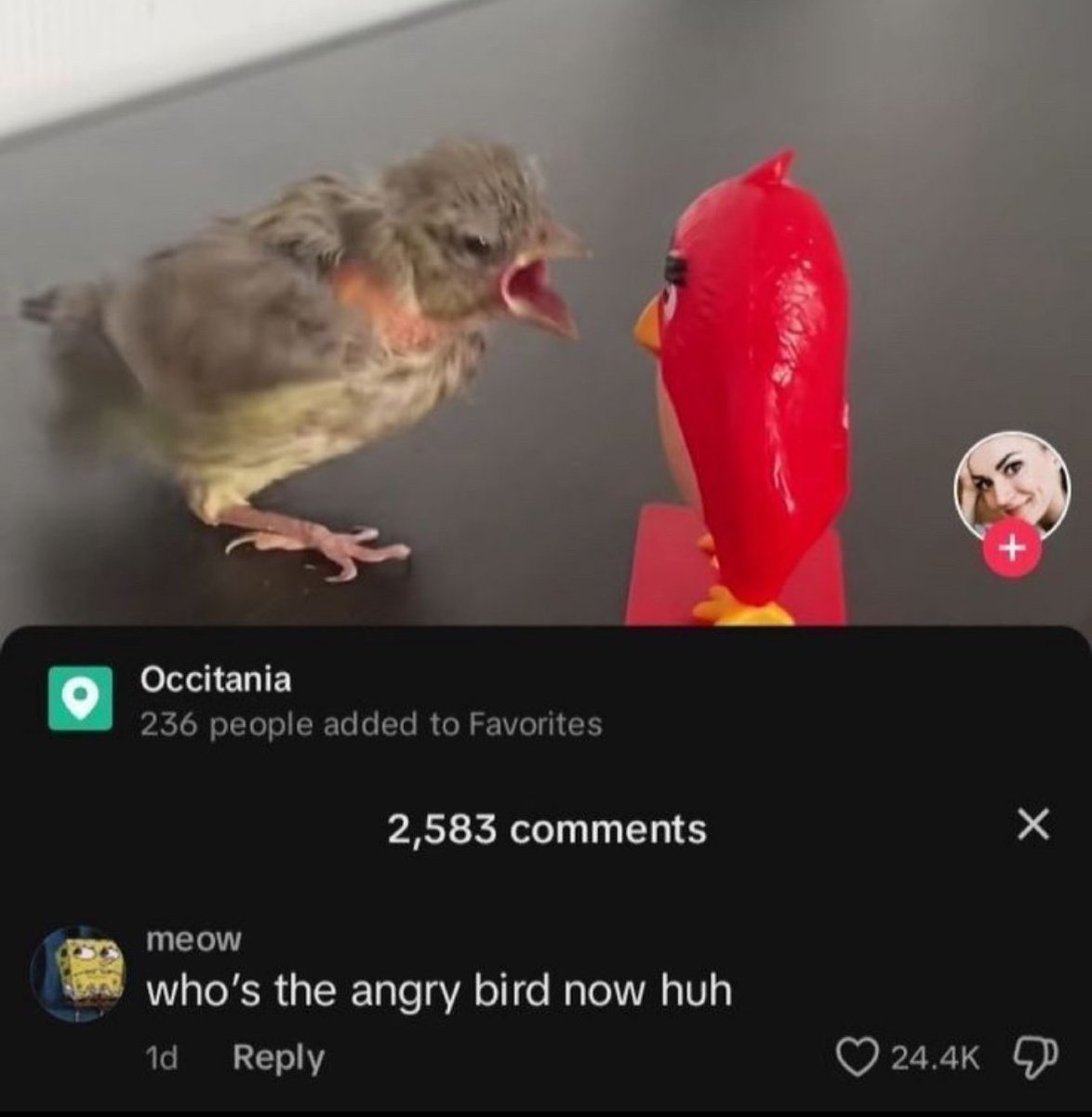 V.I.V.E.K tweet media