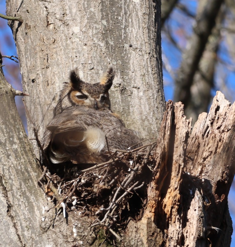 Marlene Koenig 🇺🇸 tweet media