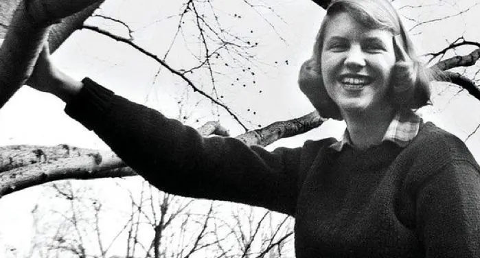 Hesse Philosophy tweet media