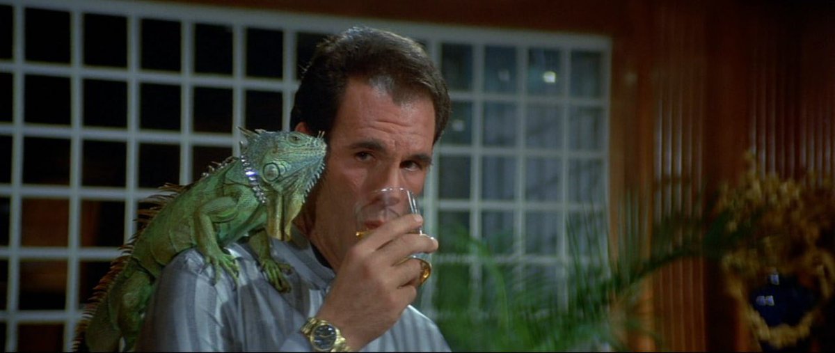 a random pynchon character tweet media