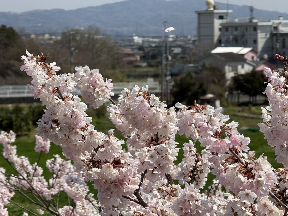 Minatchi@VRChat tweet media