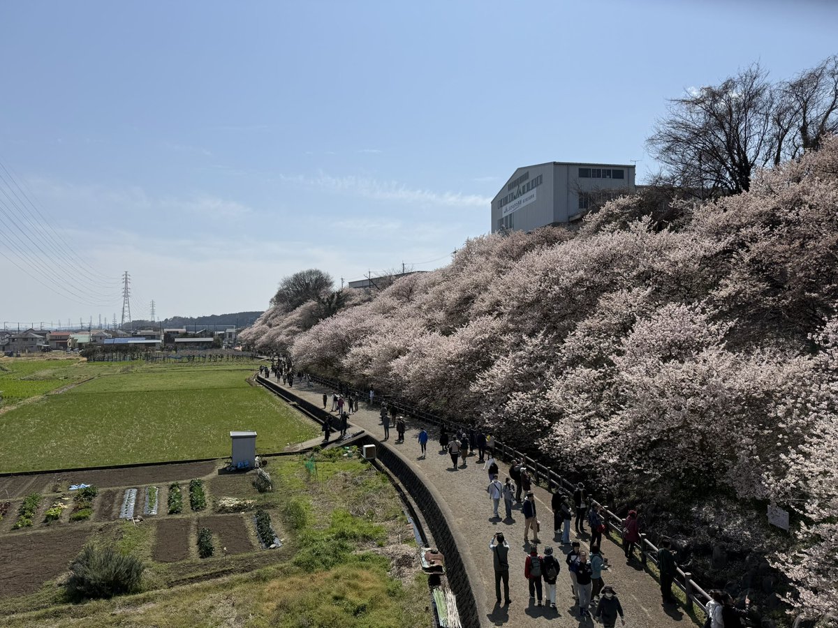 Minatchi@VRChat tweet media