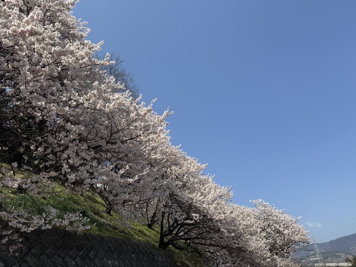 Minatchi@VRChat tweet media