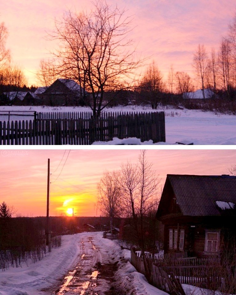 Сергей Лесник tweet media