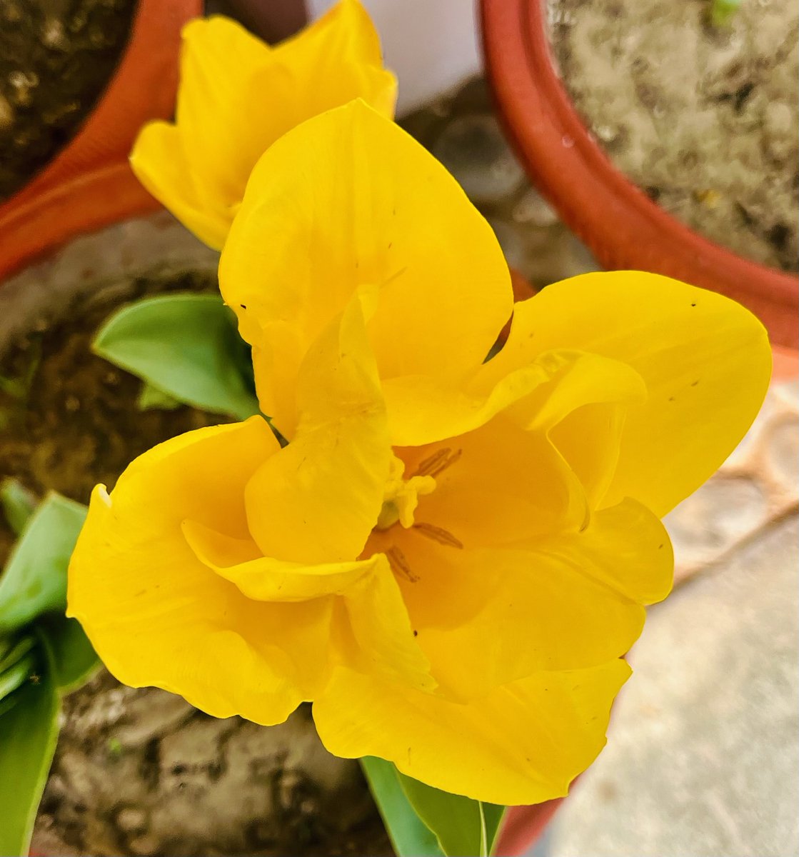 RBakshee's tweet image. #Empathy and #Compassion help in being selfless 
#SaturdayMorning