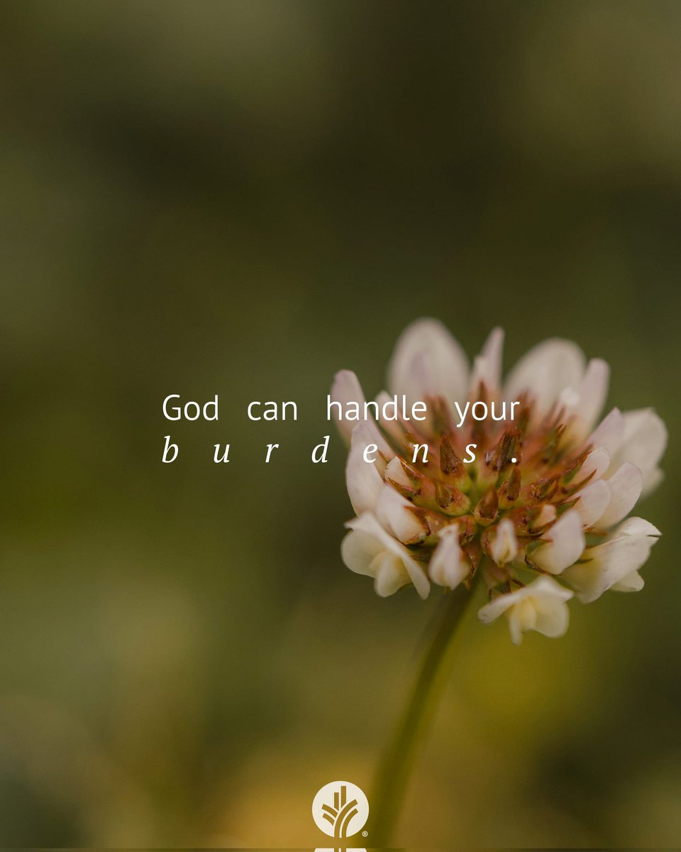 Ian Mbugua tweet media