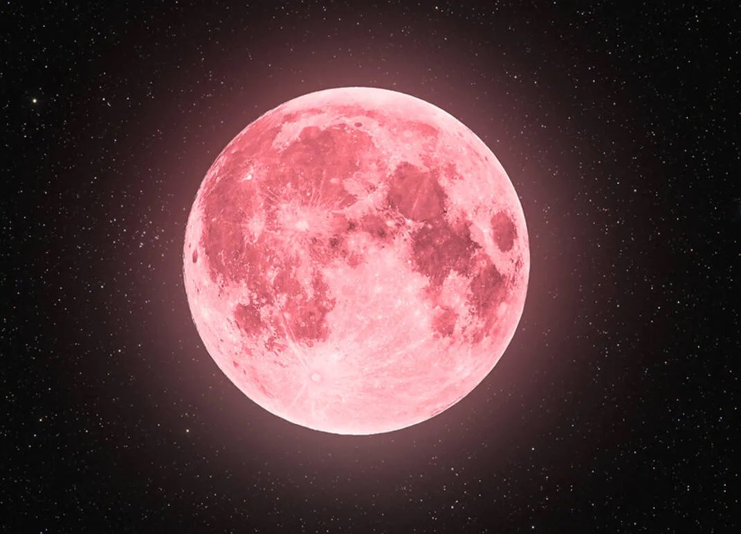 Amanda 🩷ᴼᴿ³ tweet media