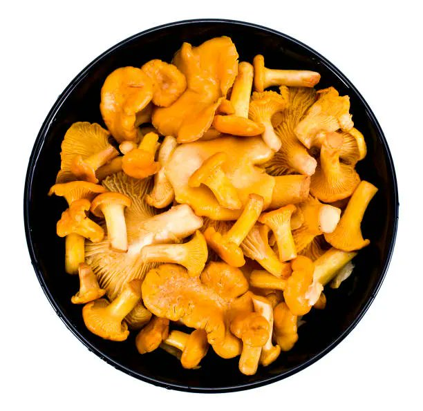 Randomperv. tweet media