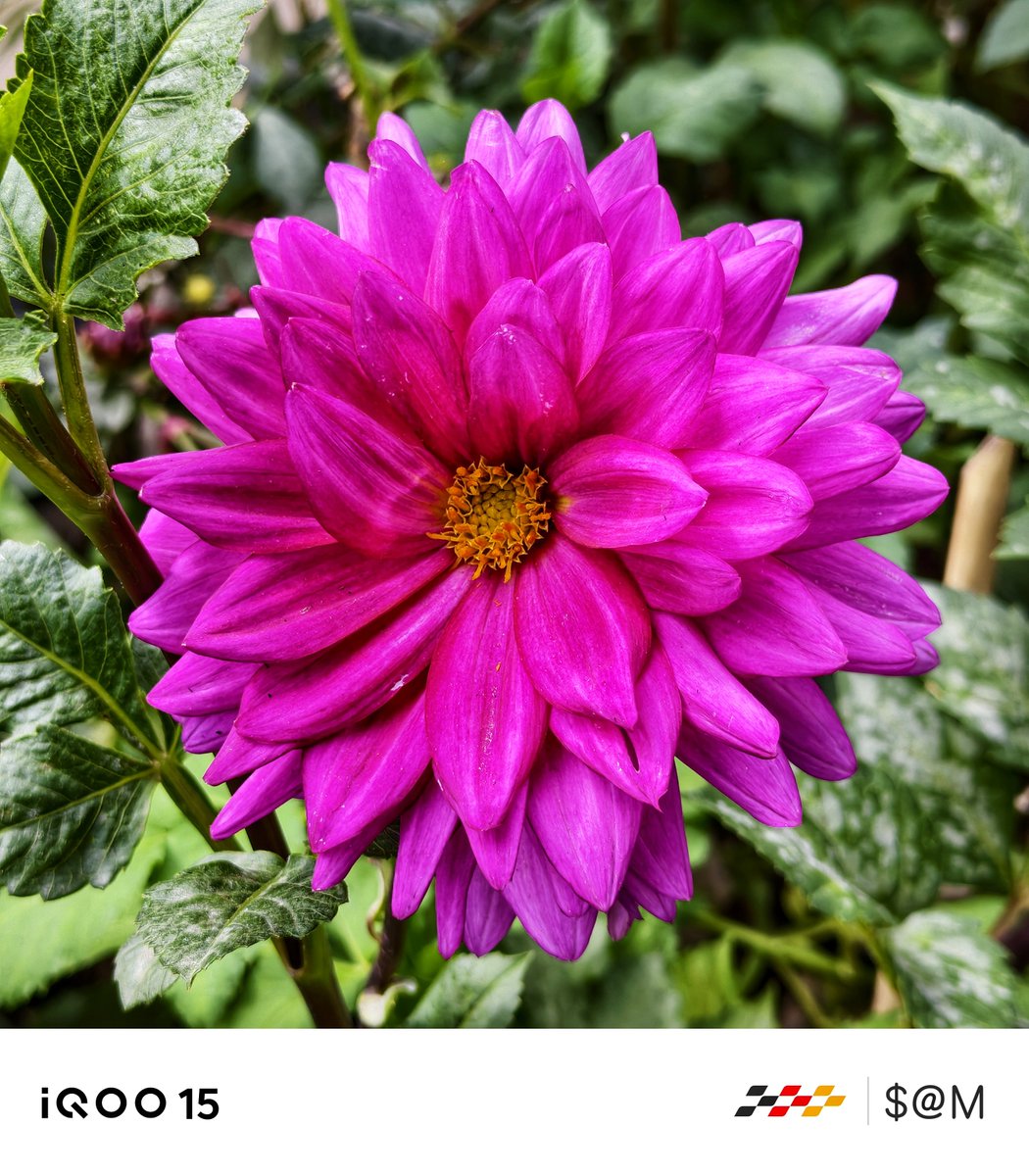 TechSAM009 tweet media