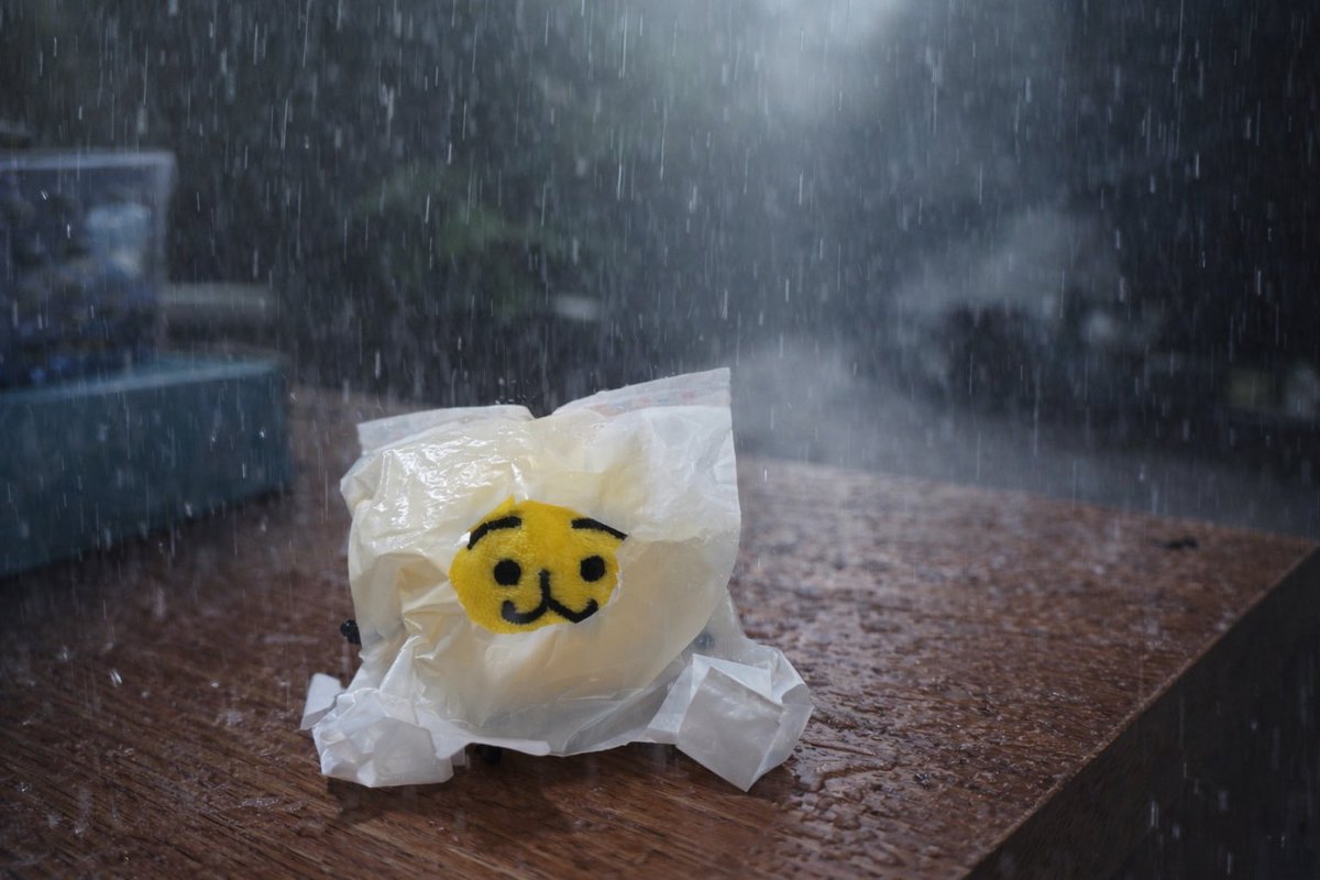 モトネコ tweet media