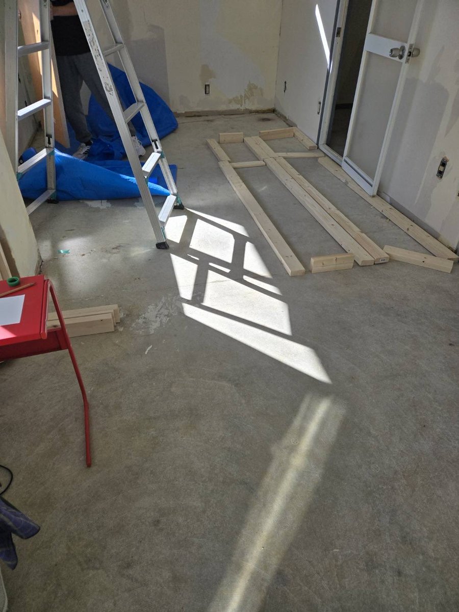 二匹の羊 tweet media