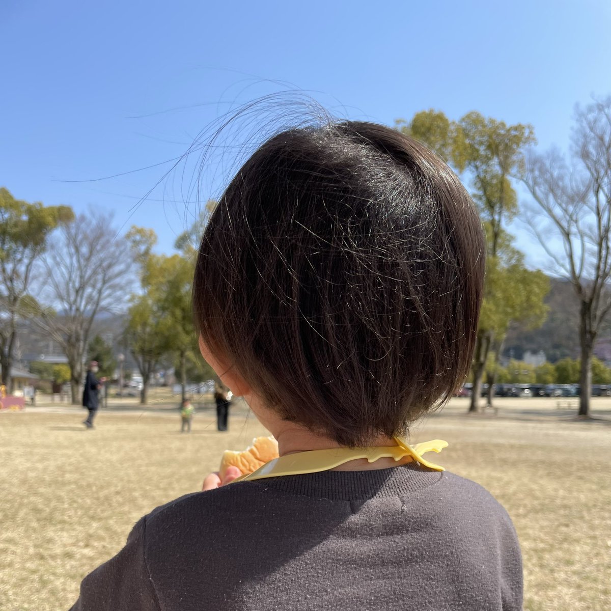 ぶたおくん tweet media