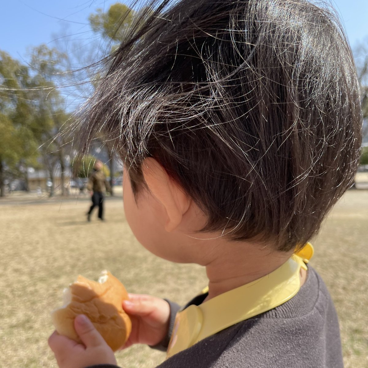 ぶたおくん tweet media
