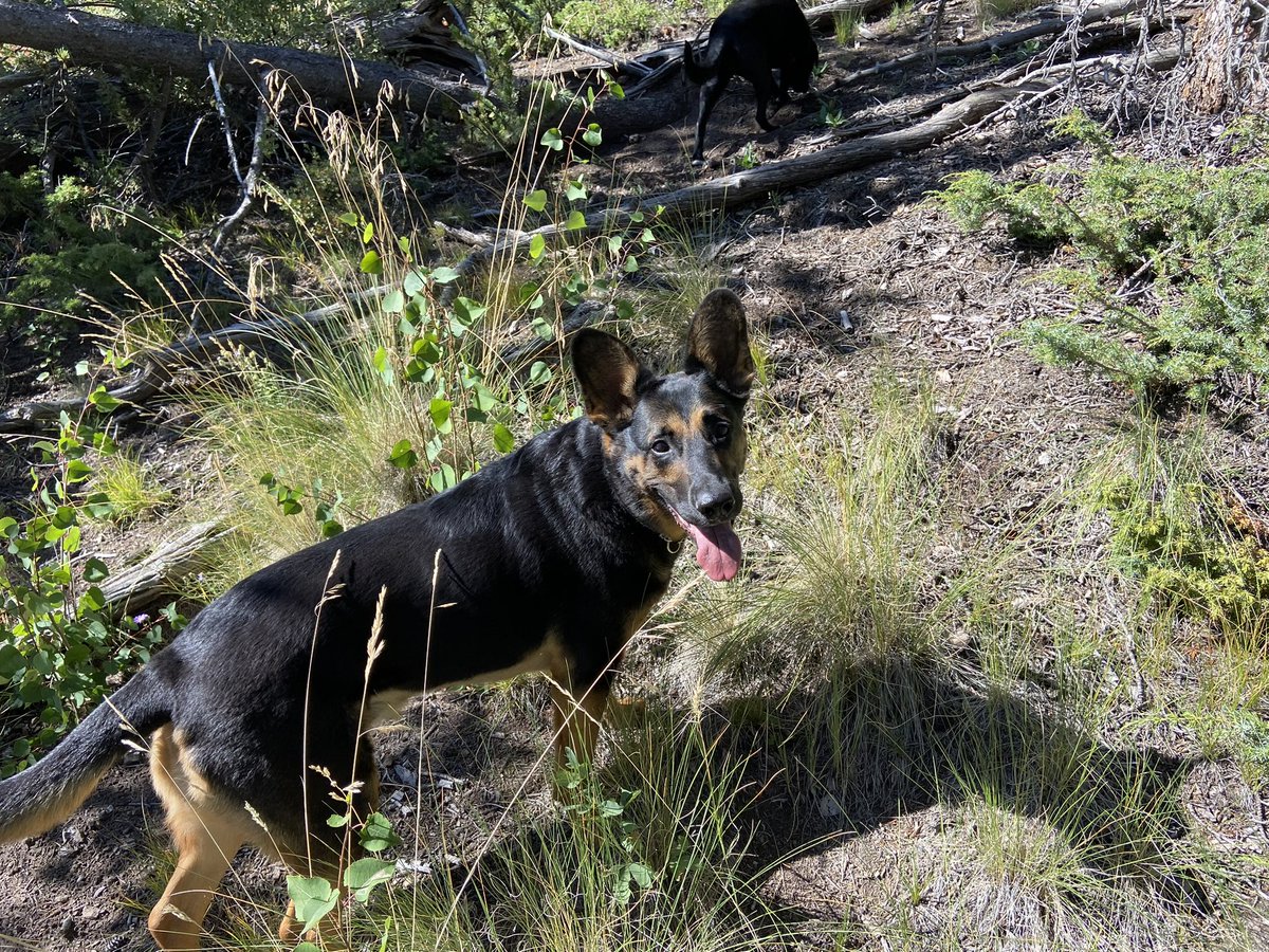 Amanda Alden tweet media