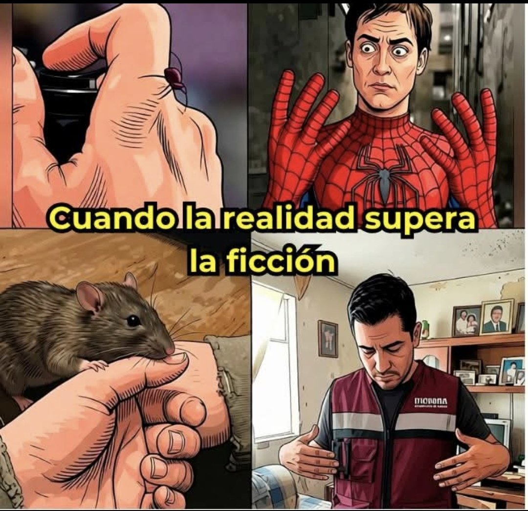 Don Insensato tweet media