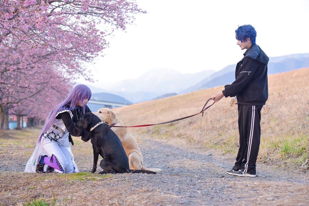 眠井ねねこ🐈💤 tweet media