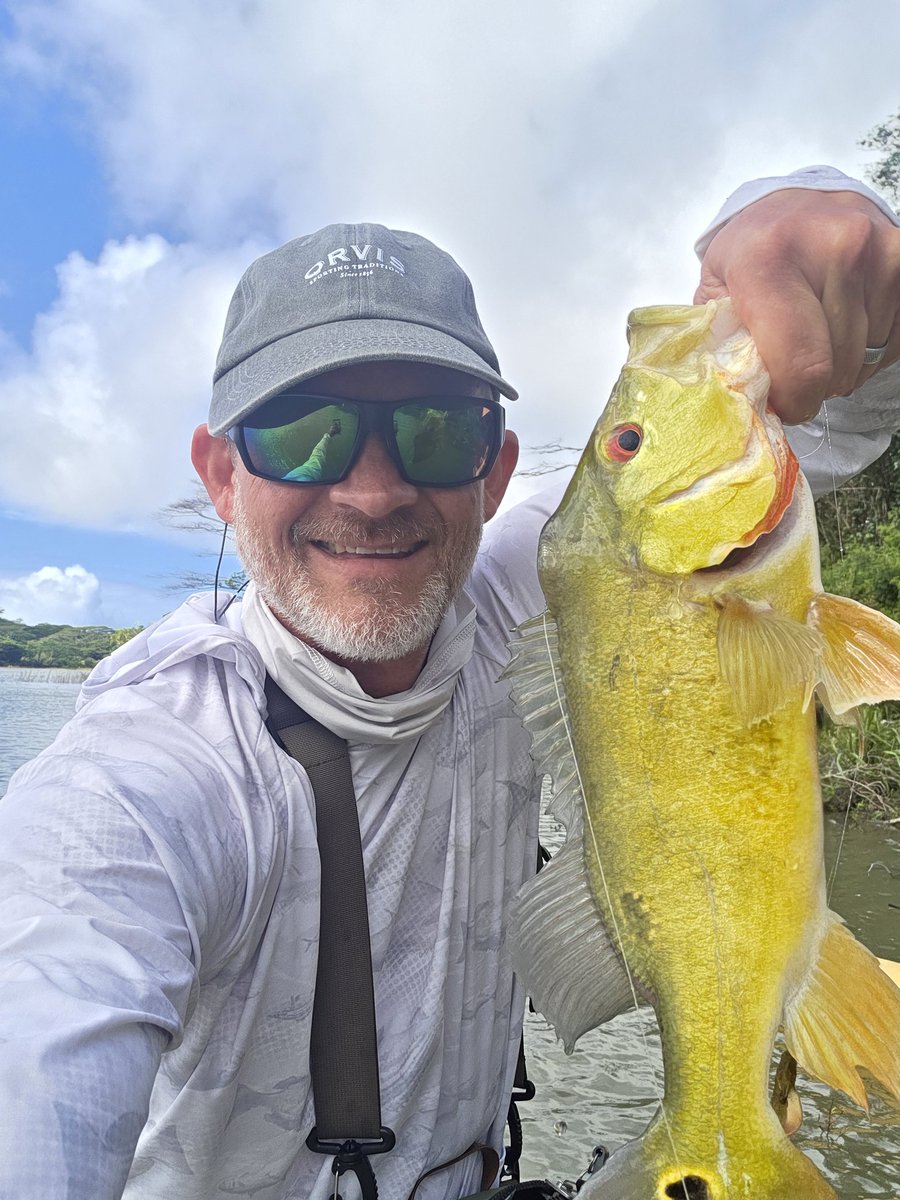 Brian Townsend tweet media