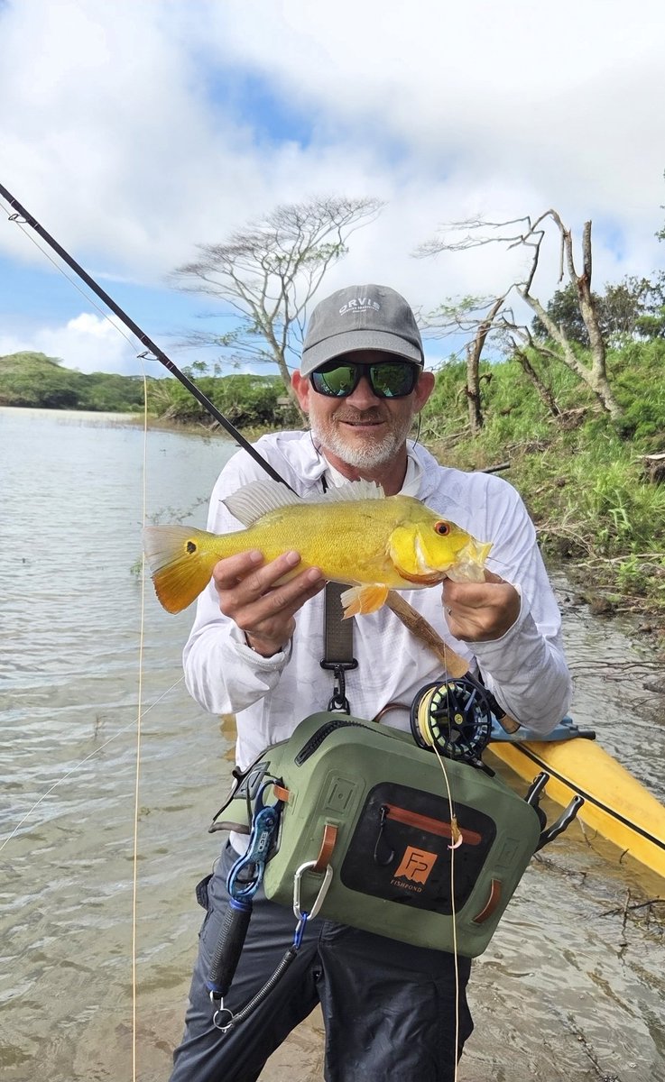 Brian Townsend tweet media