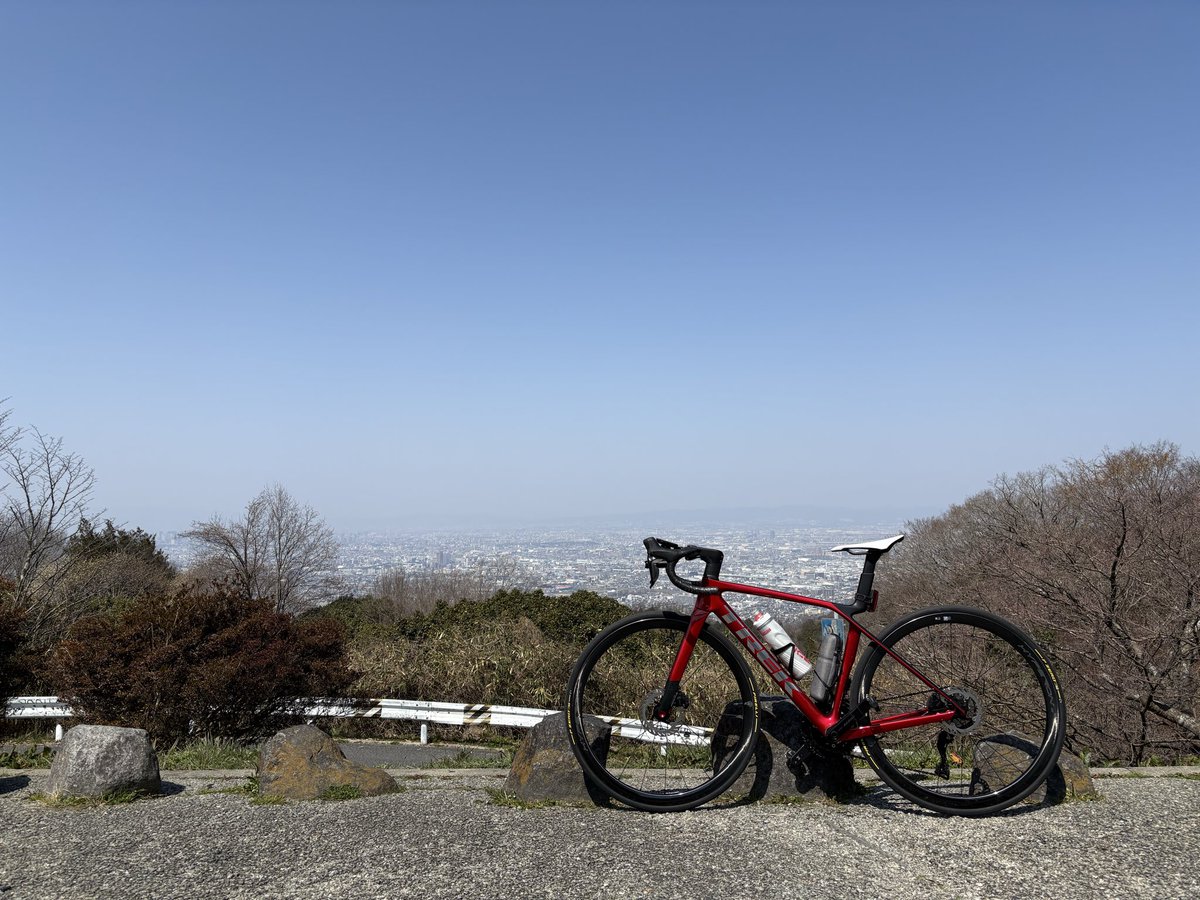 すとれー。 tweet media