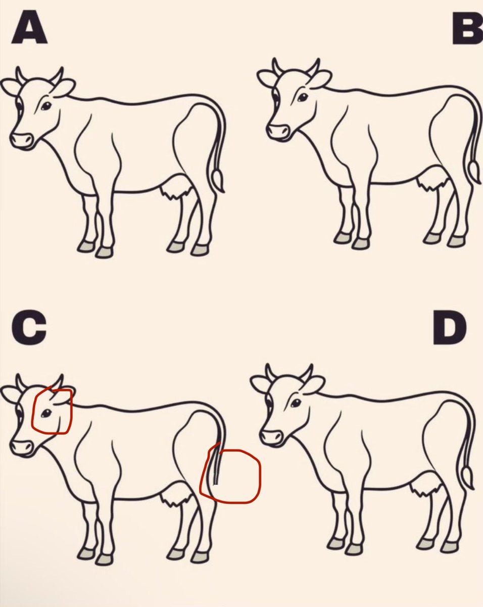 Jane Wang tweet media