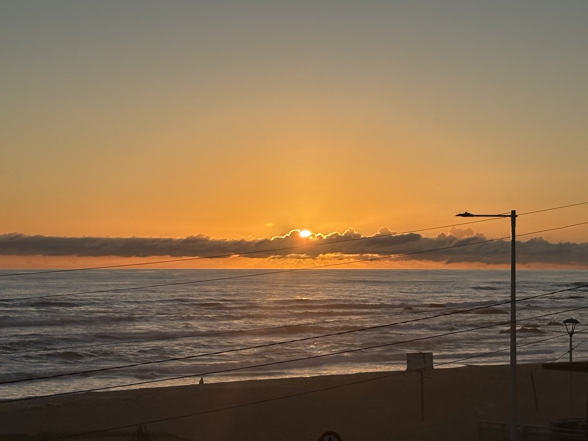 Claudia Aracena tweet media