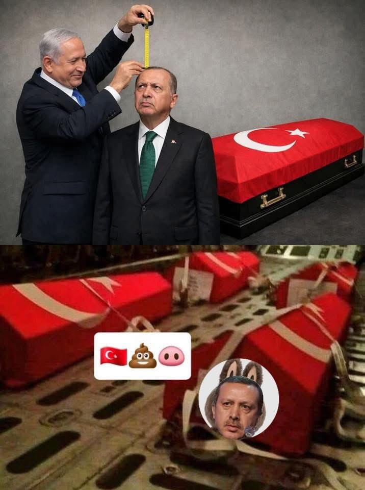 RebinSroosht tweet media