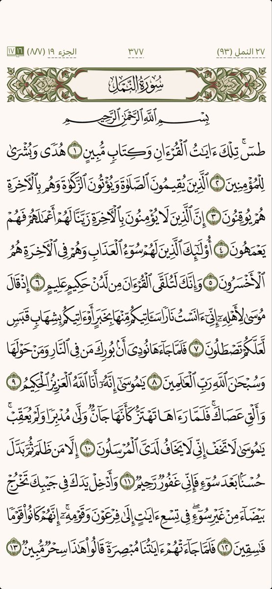 كل يوم صفحة tweet media