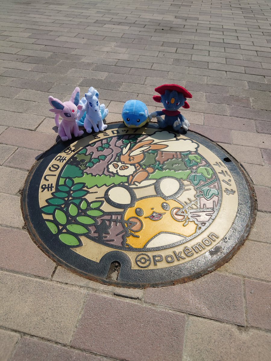 にゃお ポケGO垢 tweet media