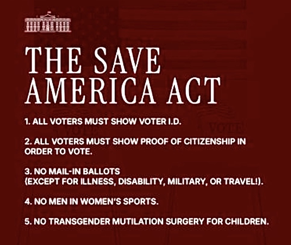 Denise 🤌🐾🇮🇹 tweet media