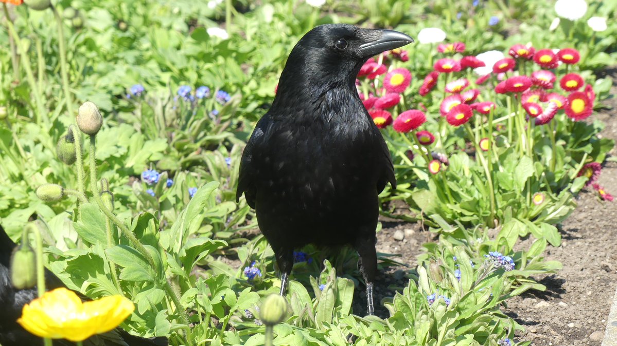 Jason Cann tweet media