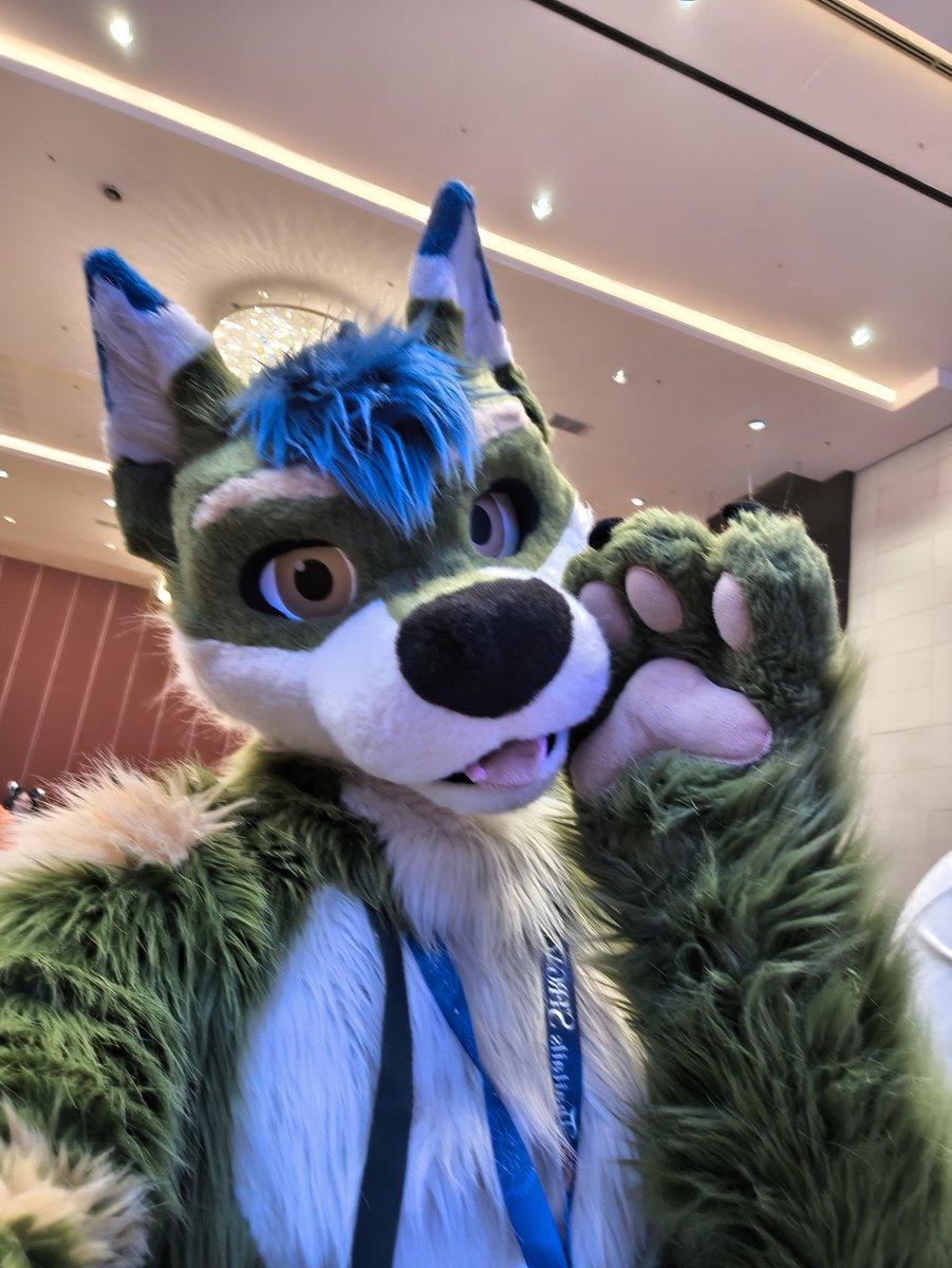 Wufuzz ➡️ ThaiTails 🇹🇭 tweet media