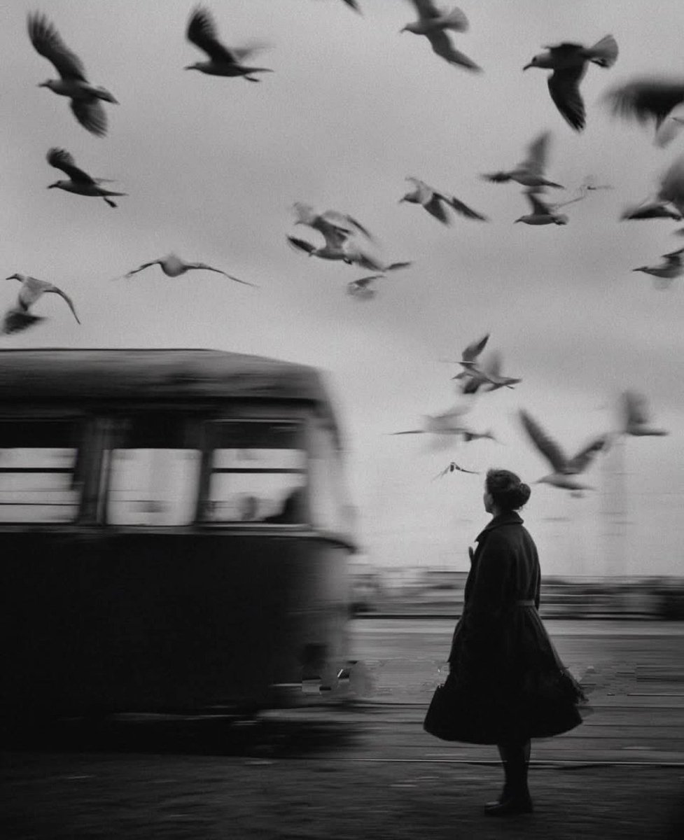 Ballı Kahvem tweet media