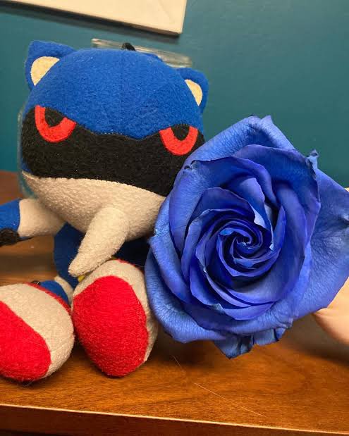 【⚠︎】𝐓𝐇𝐄 𝐑𝐄𝐀𝐋 𝐒𝐎𝐍𝐈𝐂 . . .ᐟ tweet media